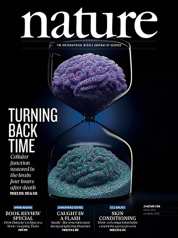 《自然》雜誌上發表的研究,揭示了睡眠如何幫助我們的大腦清除在清醒期間累積的代謝廢物。